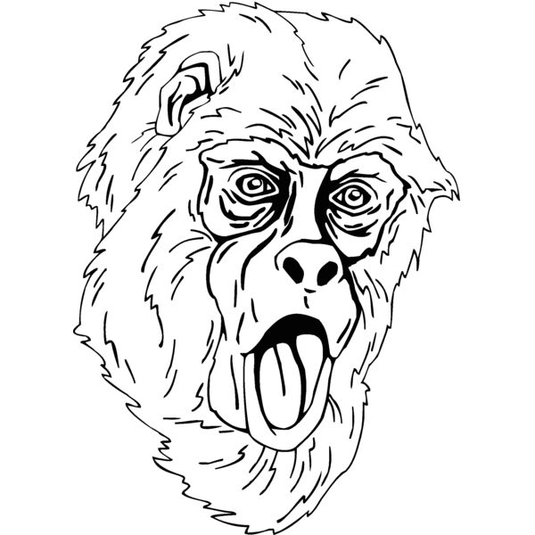 monkey 5 Thumbnail