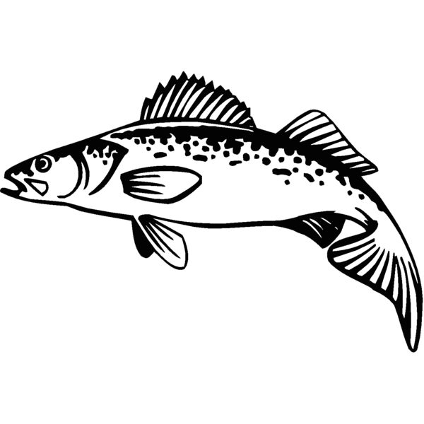 walleye Thumbnail