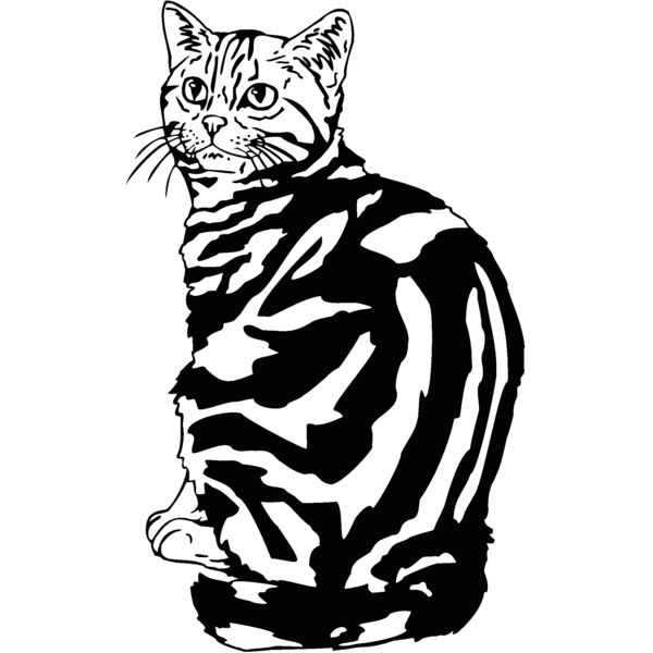 tabby br Thumbnail