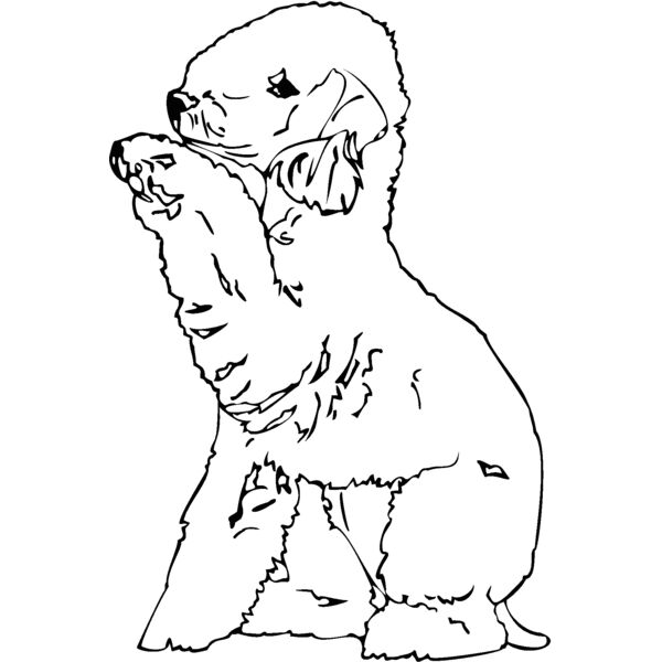 lamb Thumbnail