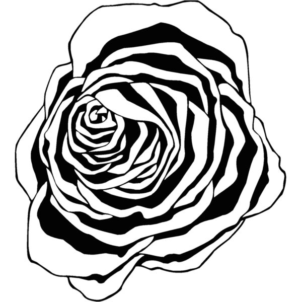 rose Thumbnail