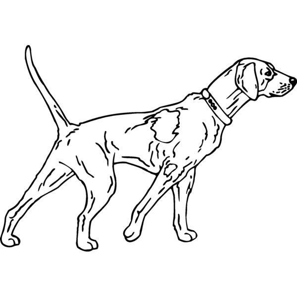pointer Thumbnail