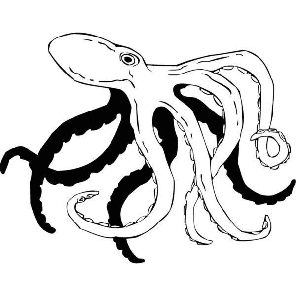 octopus Thumbnail