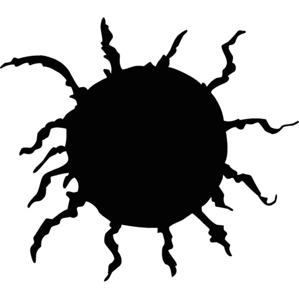 sunny Thumbnail