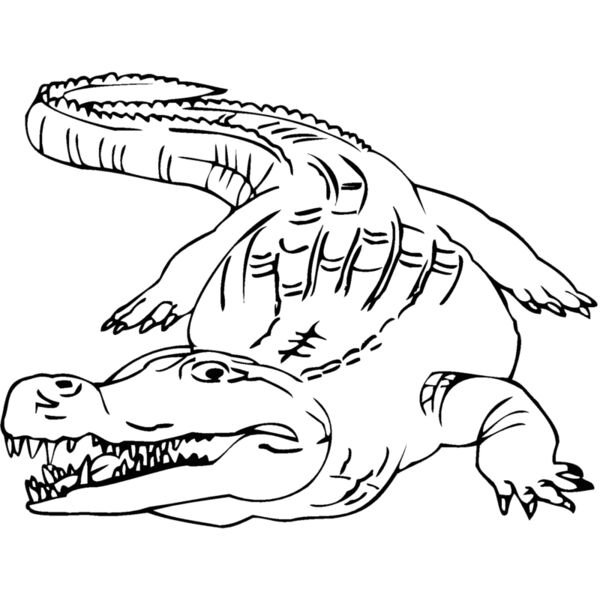 alligat2 Thumbnail