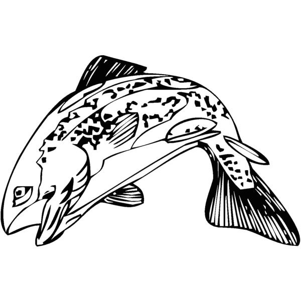 fish13 Thumbnail