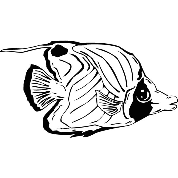 fish11 Thumbnail