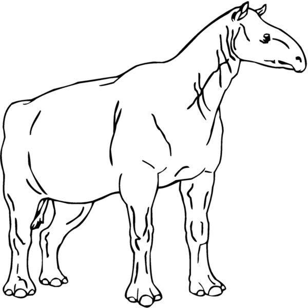 indricot Thumbnail