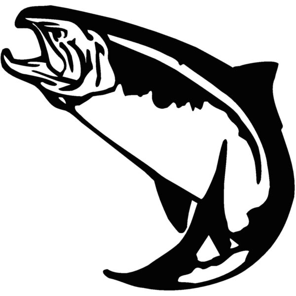 trout1 Thumbnail