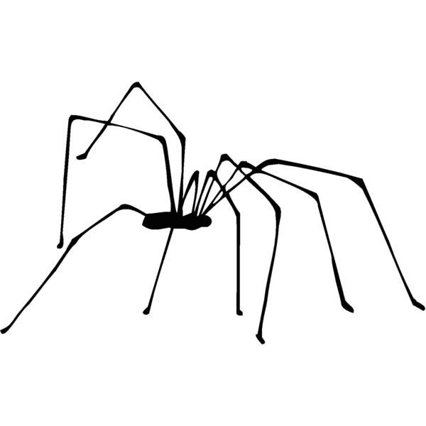 daddy lo Thumbnail