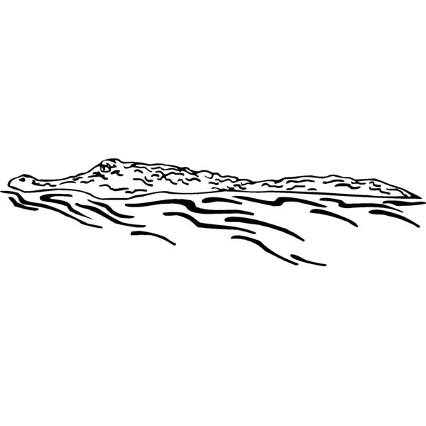 gator3 Thumbnail