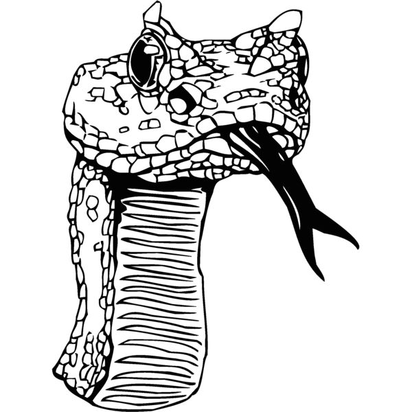 snakehea Thumbnail