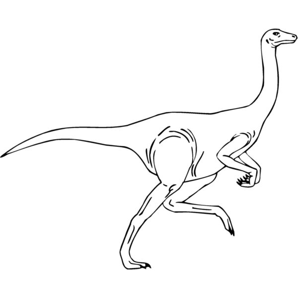 ornithom Thumbnail