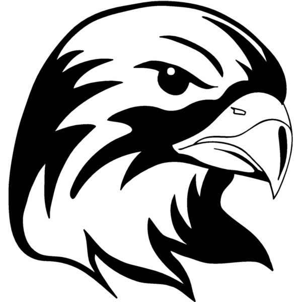 hawk02 Thumbnail