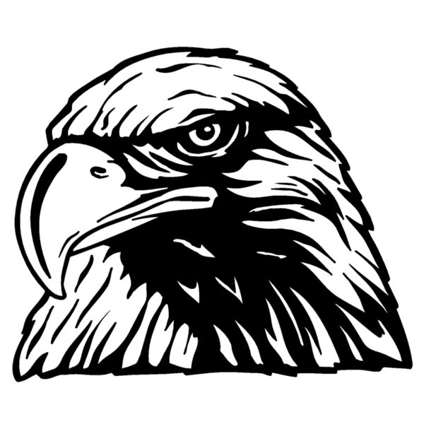 eagle24 Thumbnail