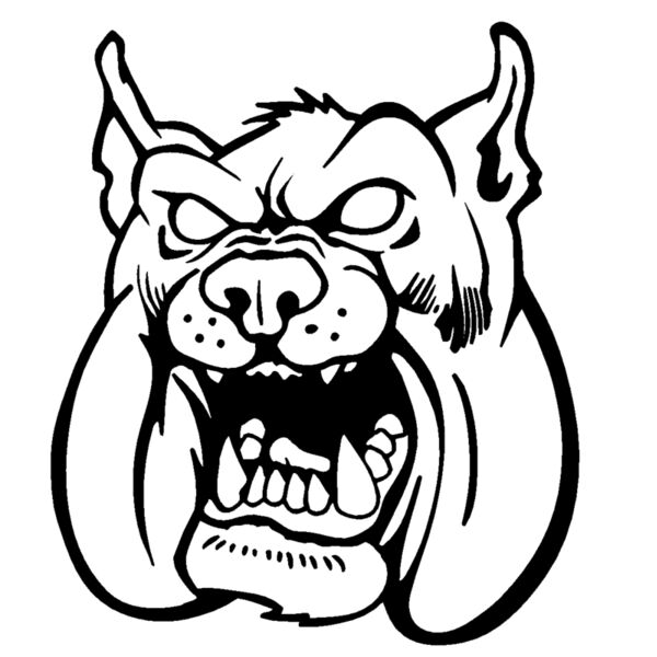 bdghd33 Thumbnail