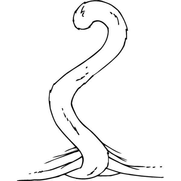 cattail Thumbnail