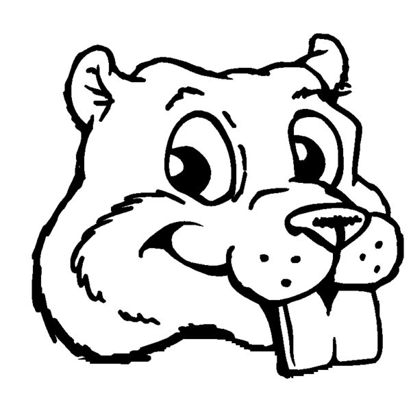 beaver30 Thumbnail