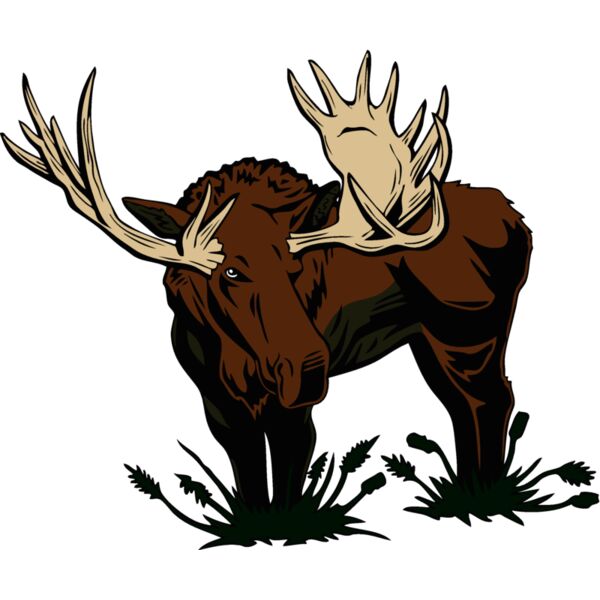 moosec001 Thumbnail