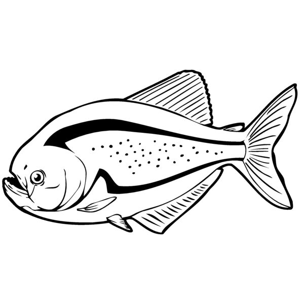 piranha07 Thumbnail