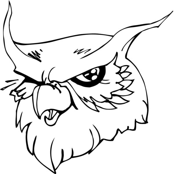 owlhd Thumbnail