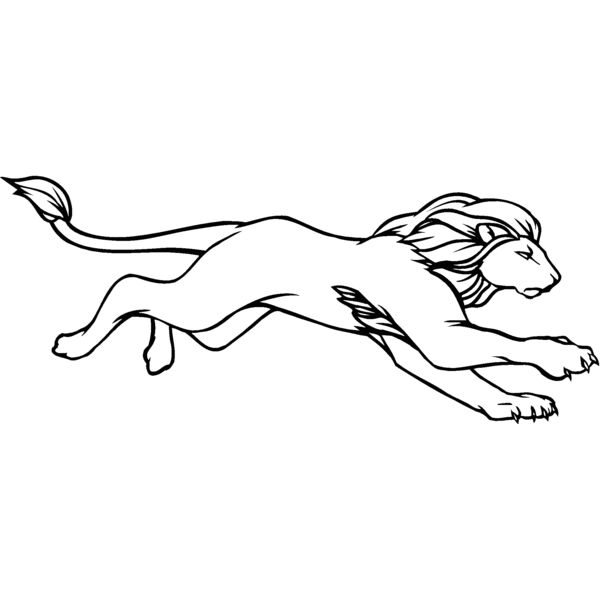 lion05 Thumbnail