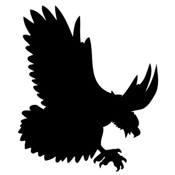 hawk03 Thumbnail