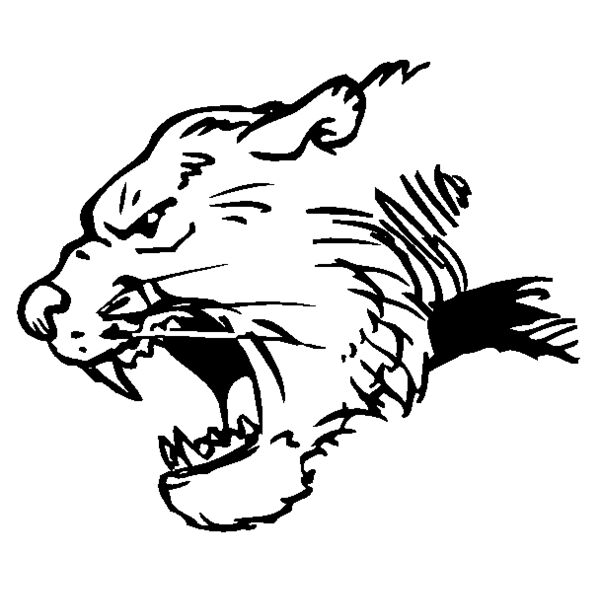 pchd3 Thumbnail