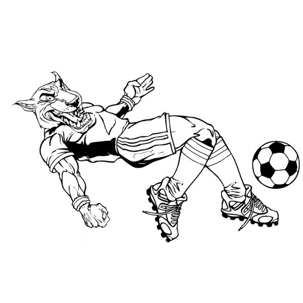 wfsr Thumbnail