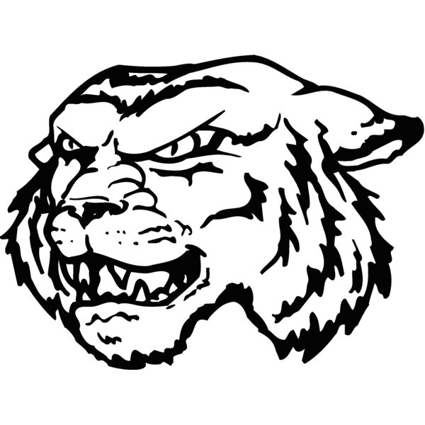 tigerhd18 Thumbnail