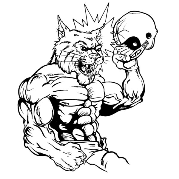 wcfb3 Thumbnail