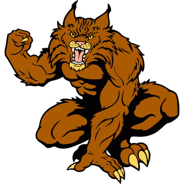 wildcat6 Thumbnail