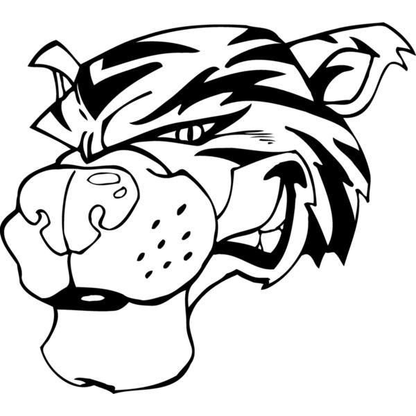 tigerhd2 Thumbnail