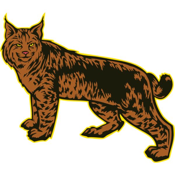 wildcat9 Thumbnail