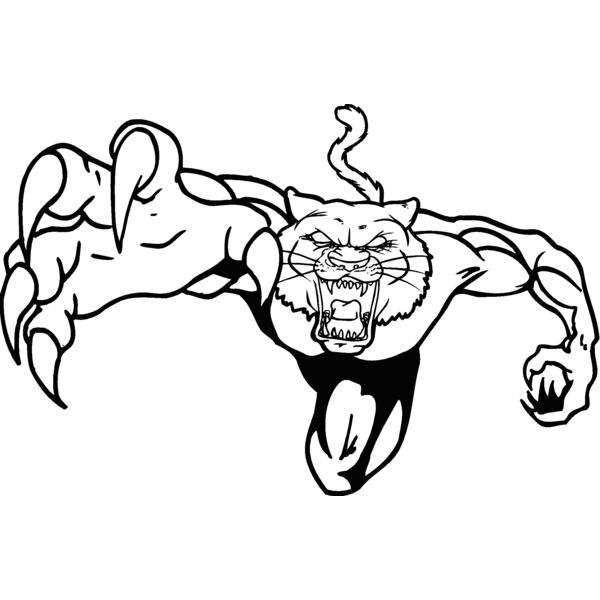 wildcat1 Thumbnail