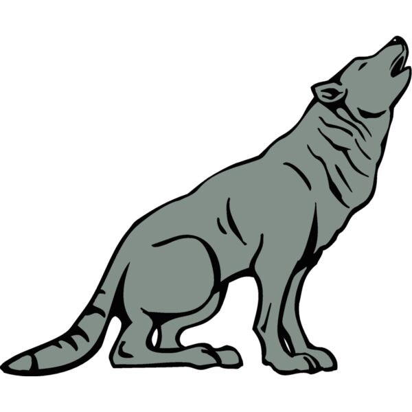 coyote2 Thumbnail