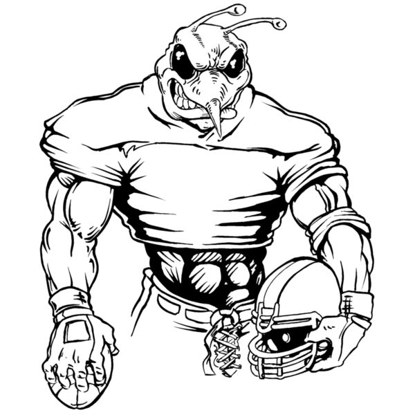 befb05 Thumbnail
