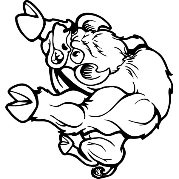 buffalo1 Thumbnail