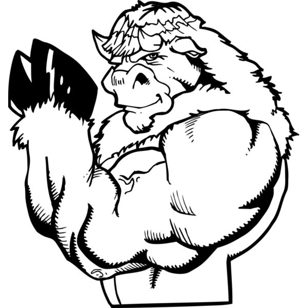 bfloarm Thumbnail