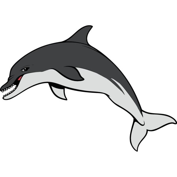 dolphin17 Thumbnail