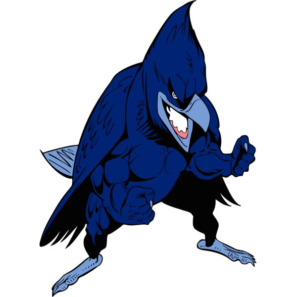 bluejay5 Thumbnail