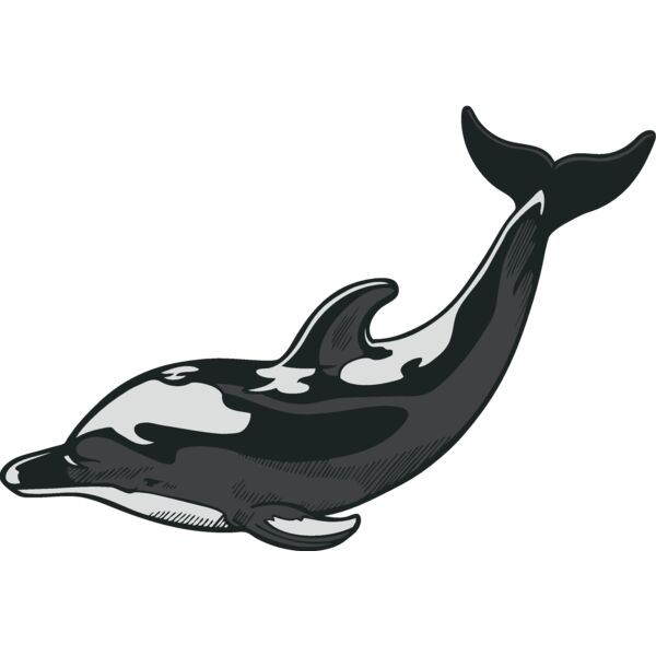 dolphin14 Thumbnail