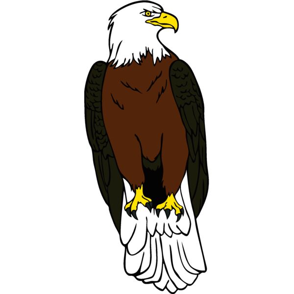 eagle08 Thumbnail
