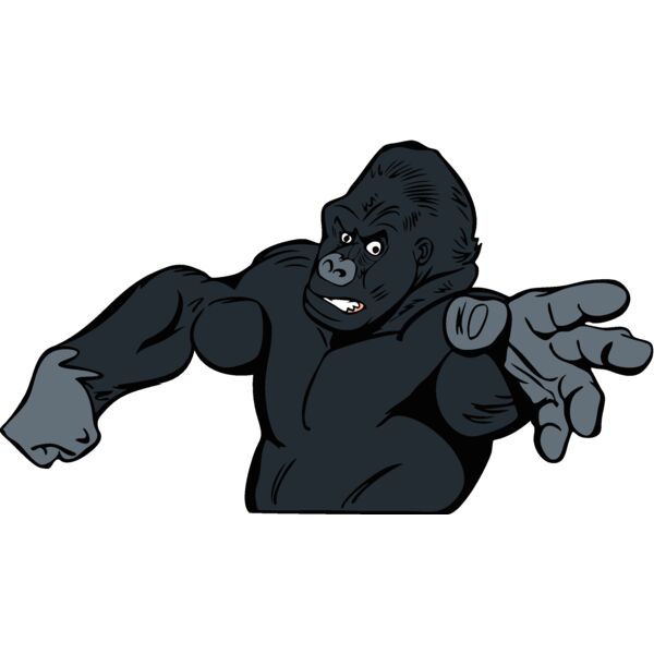 gorilla1 Thumbnail