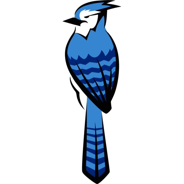 bluejay8 Thumbnail