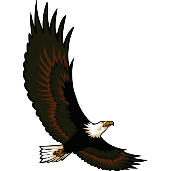 eaglem014 Thumbnail