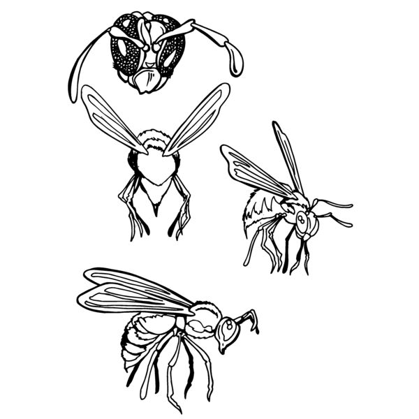 beams04 Thumbnail