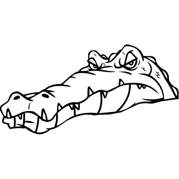 gatorhd2 Thumbnail