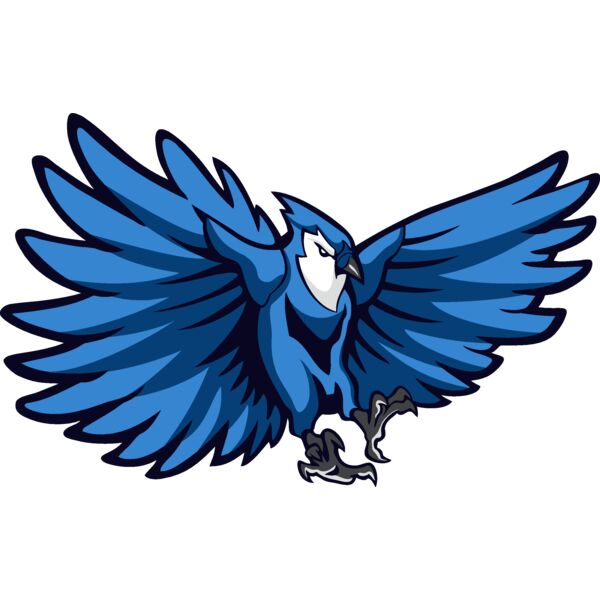 bluejay6 Thumbnail