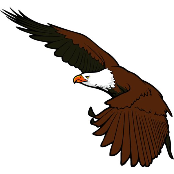 eagle04 Thumbnail